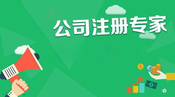 西安通稅財務(wù)咨詢 快速高效的營業(yè)執(zhí)照代辦服務(wù)